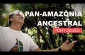 Sínodo da Amazônia: “Novos caminhos para a Igreja e para uma ecologia integral”
