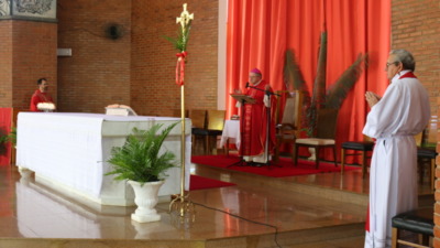 Sem assembleia presente, Bispo Preside Missa de Domingo de Ramos