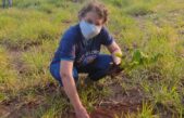 Cursilho realizou plantio de mudas em Umuarama