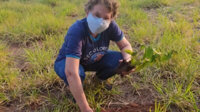 Cursilho realizou plantio de mudas em Umuarama