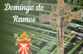 Domingo de Ramos pela Diocese